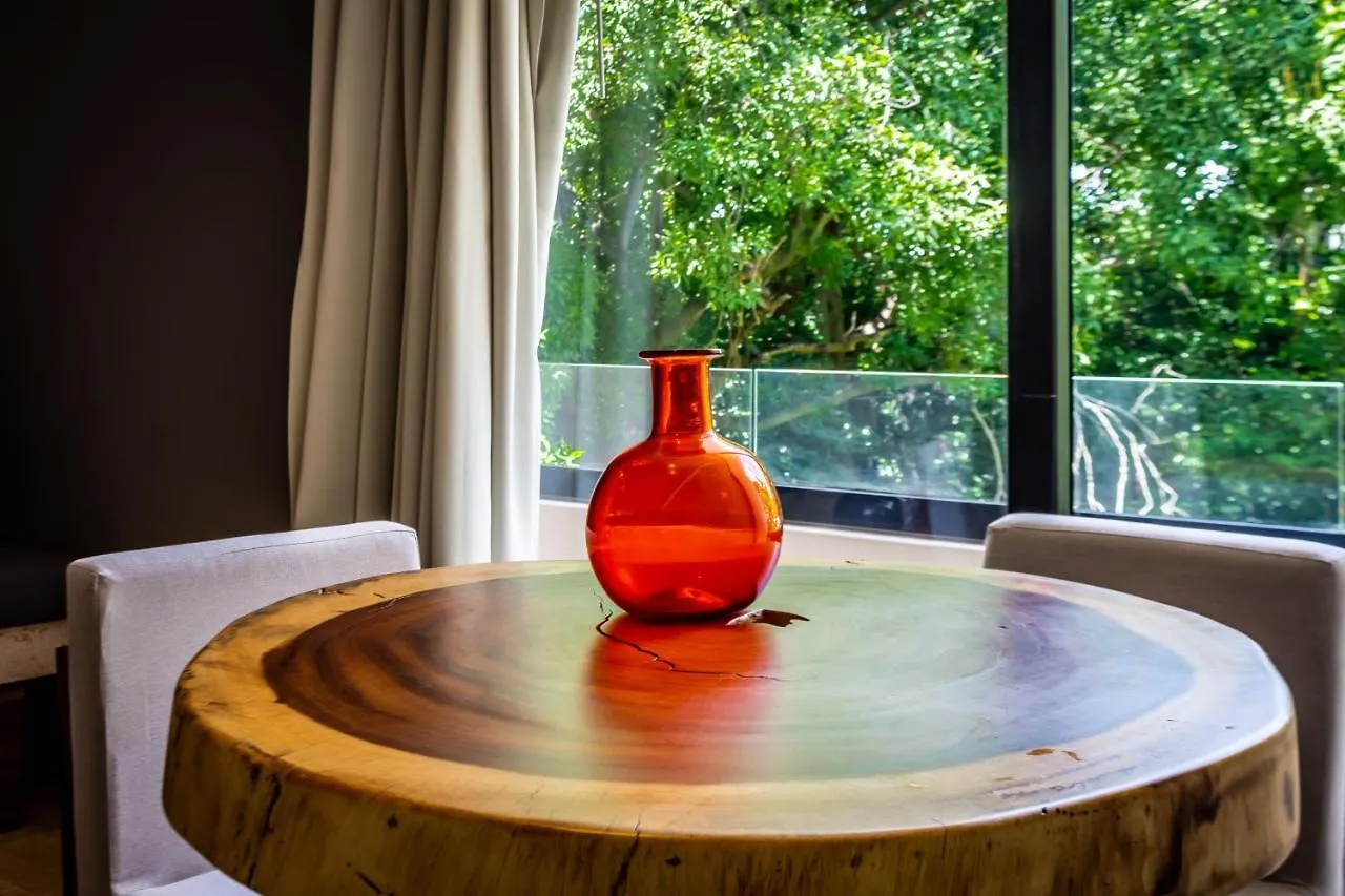 Big Studio At Kaab By The Beach With Roof Top Pool, Sauna And Jacuzzi Near Paseo Del Carmen Mall Playa del Carmen