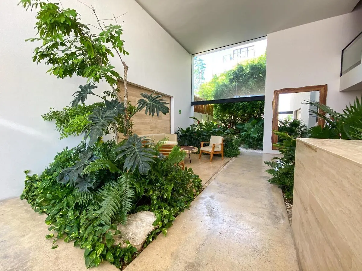 Big Studio At Kaab By The Beach With Roof Top Pool, Sauna And Jacuzzi Near Paseo Del Carmen Mall Playa del Carmen Mexico