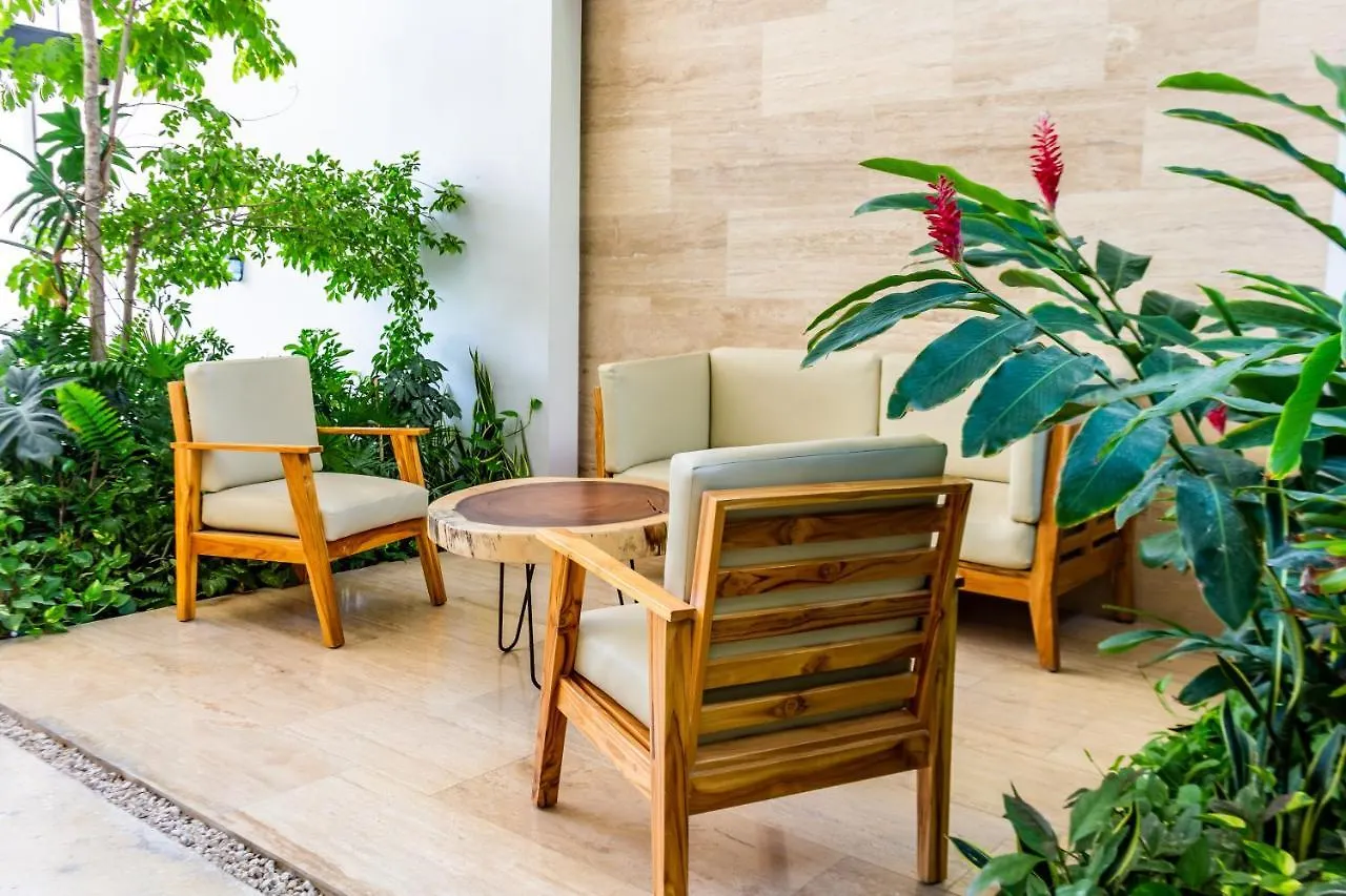 Big Studio At Kaab By The Beach With Roof Top Pool, Sauna And Jacuzzi Near Paseo Del Carmen Mall Playa del Carmen 0*,  Mexico