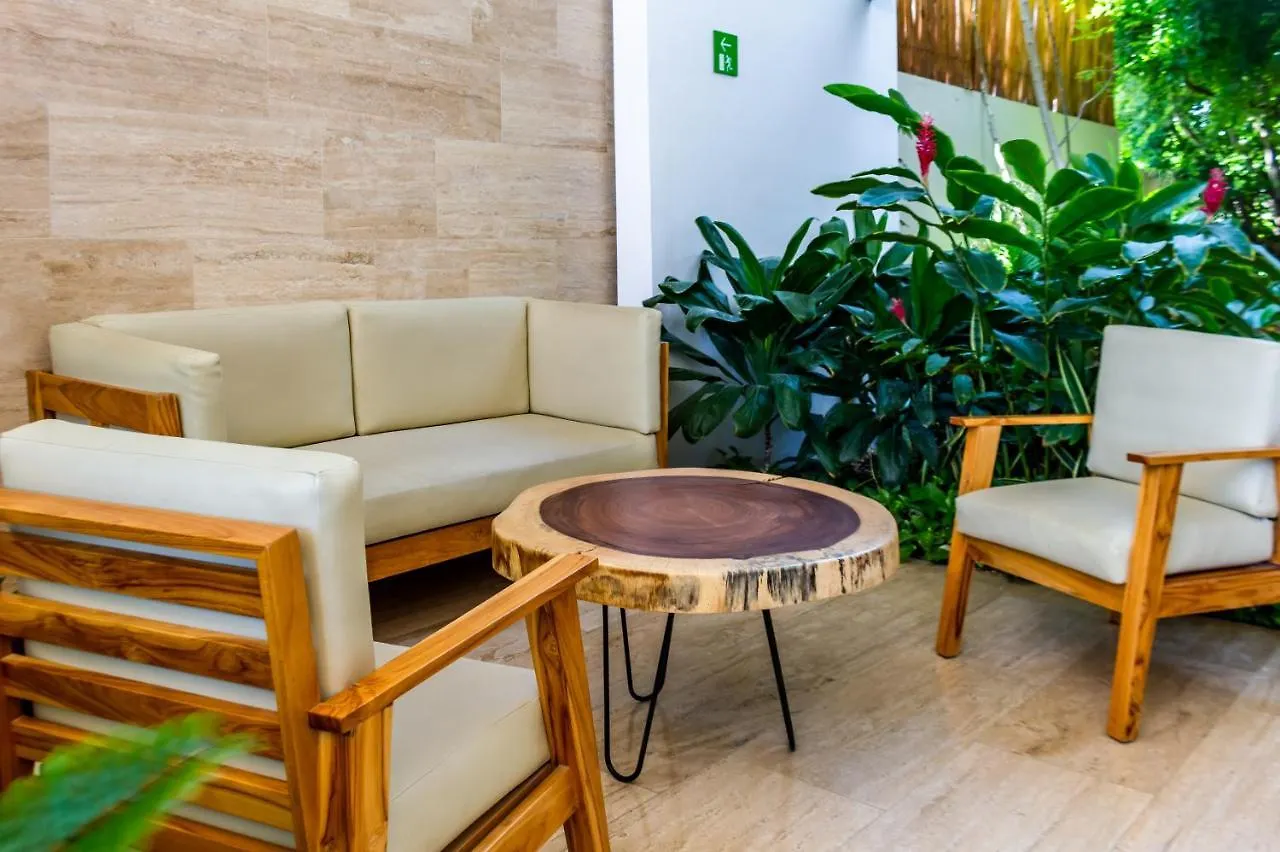 Big Studio At Kaab By The Beach With Roof Top Pool, Sauna And Jacuzzi Near Paseo Del Carmen Mall Playa del Carmen