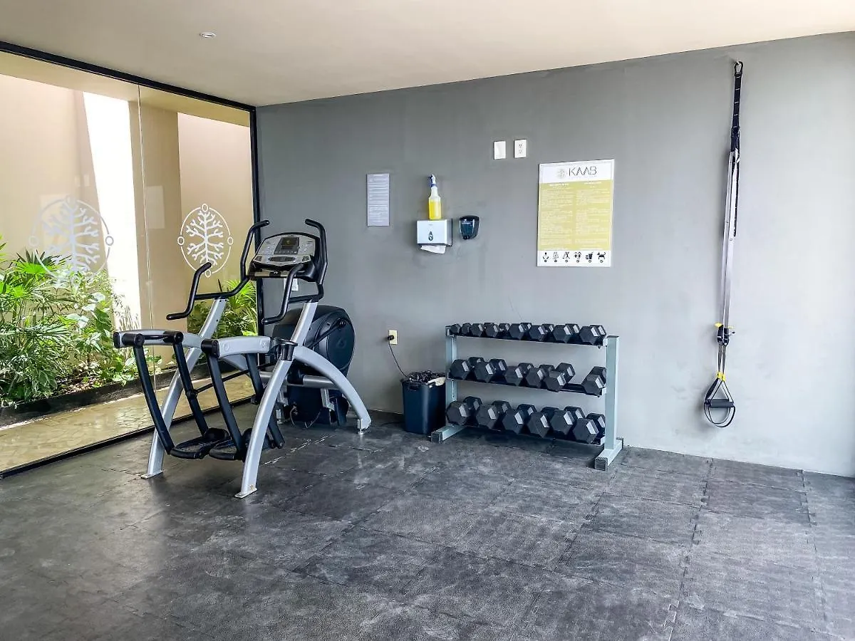 Apartment Big Studio At Kaab By The Beach With Roof Top Pool, Sauna And Jacuzzi Near Paseo Del Carmen Mall Playa del Carmen