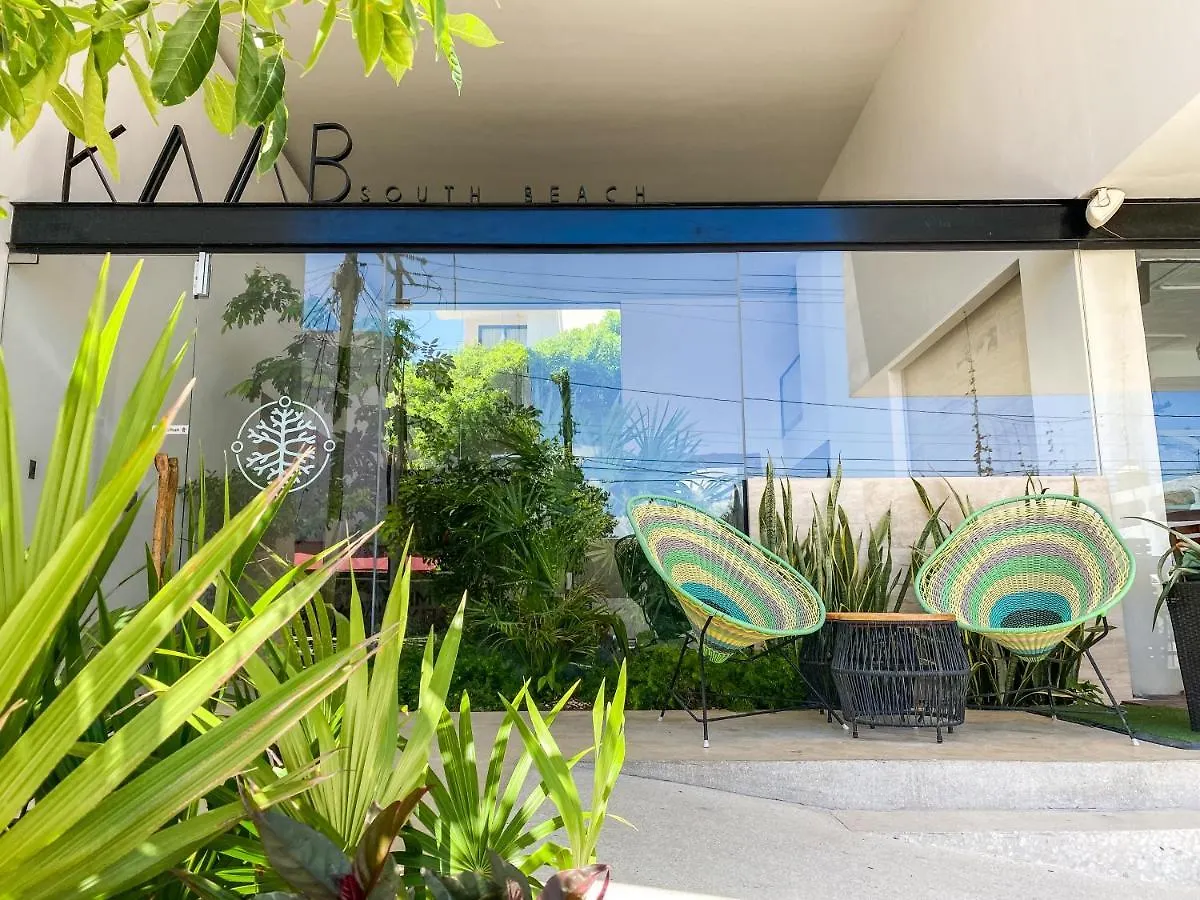 Big Studio At Kaab By The Beach With Roof Top Pool, Sauna And Jacuzzi Near Paseo Del Carmen Mall Playa del Carmen