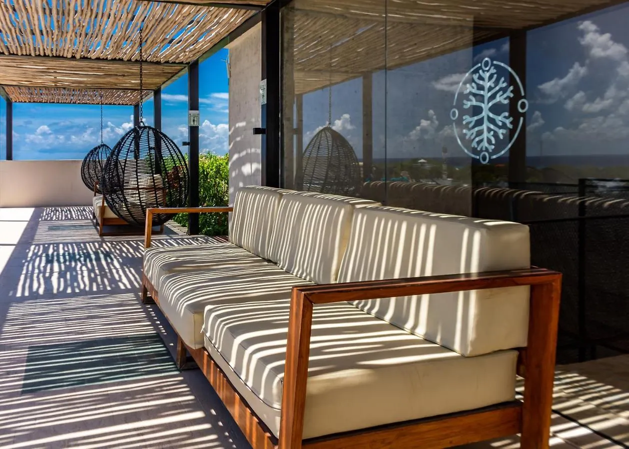 Apartment Big Studio At Kaab By The Beach With Roof Top Pool, Sauna And Jacuzzi Near Paseo Del Carmen Mall Playa del Carmen