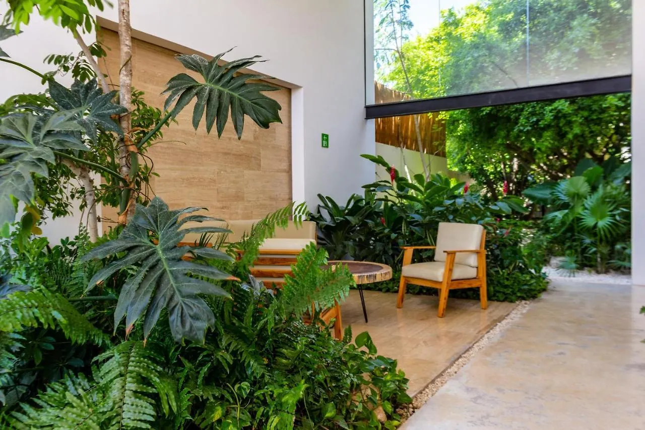 Apartment Big Studio At Kaab By The Beach With Roof Top Pool, Sauna And Jacuzzi Near Paseo Del Carmen Mall Playa del Carmen Mexico