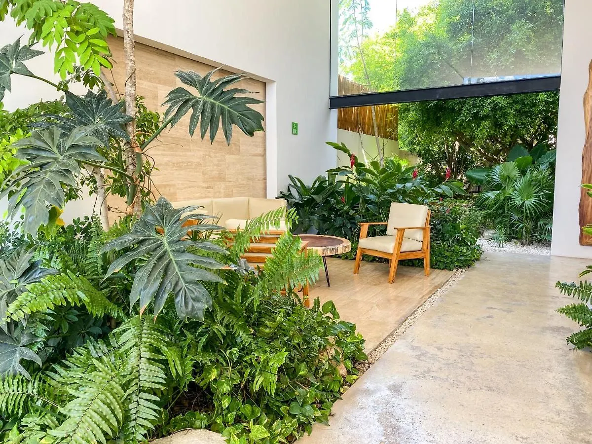 Big Studio At Kaab By The Beach With Roof Top Pool, Sauna And Jacuzzi Near Paseo Del Carmen Mall Playa del Carmen
