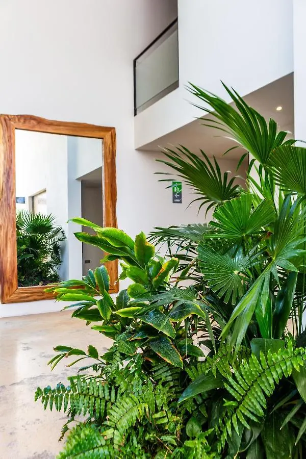 Big Studio At Kaab By The Beach With Roof Top Pool, Sauna And Jacuzzi Near Paseo Del Carmen Mall Playa del Carmen